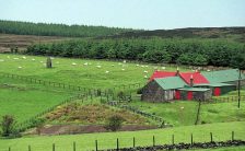 High Park Farm, Campbeltown, Scotland