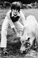 Imagine postcard – John Lennon with a pig