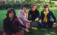 eight_col_beatles_grass.jpg