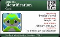 Dingle-Lad-id-card.jpg