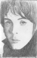 PaulMcDrawing5-.jpg