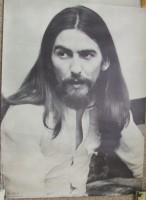 georgeseyebrows1970.jpeg