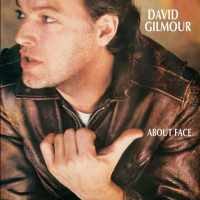 DavidGilmour_AboutFace.png