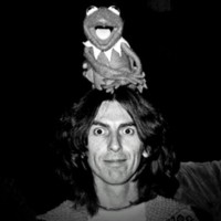 george76_kermit_hat2.jpg