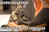 moderator-kitteh.jpg