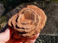 rose-rock.jpg