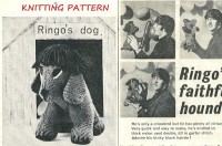 ringo-dog-kp.jpg