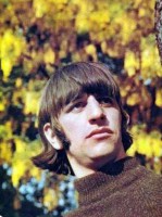 ringo-fall.JPG