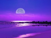 Moonlight-beach.jpg