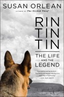 rin-tin-tin.jpg