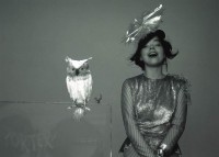 bjork-owl.jpg