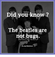 did-you-know-the-beatles-are-not-bugs-fb-com-shity-facts-4878323-1.png