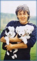 PAUL-MCPUPPIES-The-Puppy-Master-Master-of-Puppies-JPM-Puppymaster-etc.-etc..jpg