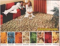 best-carpet-ever.jpg